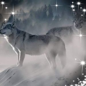 Meet your Posher, Wesley